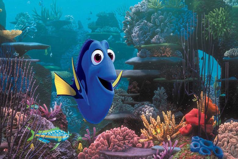 Ellen DeGeneres Slams Trump Using Finding Dory